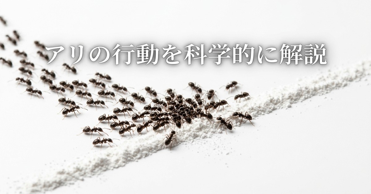 チョークがアリ対策に有効なのはなぜ？その科学的根拠を徹底解説